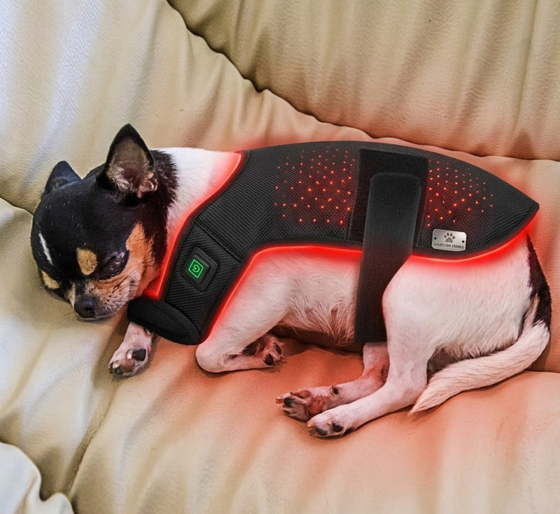 ADVANCED ANIMAL LED CARE